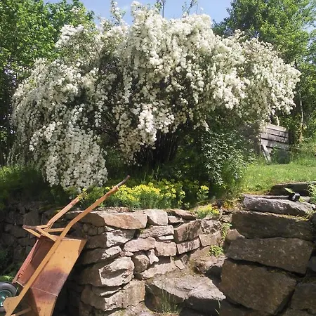 Alte Baeckerei Antonsthal Appartamento *