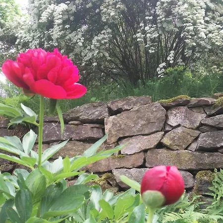 Alte Bäckerei Antonsthal Antonshohe