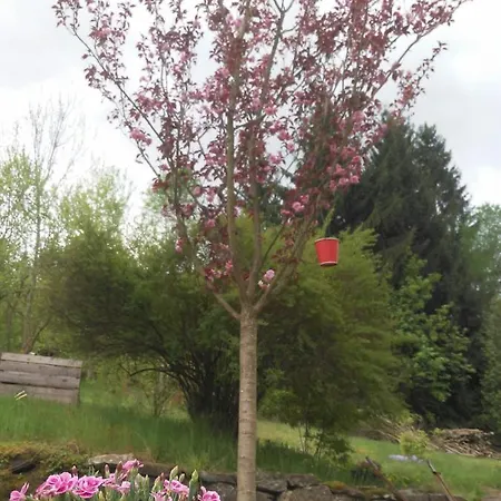 Appartamento Alte Baeckerei Antonsthal *